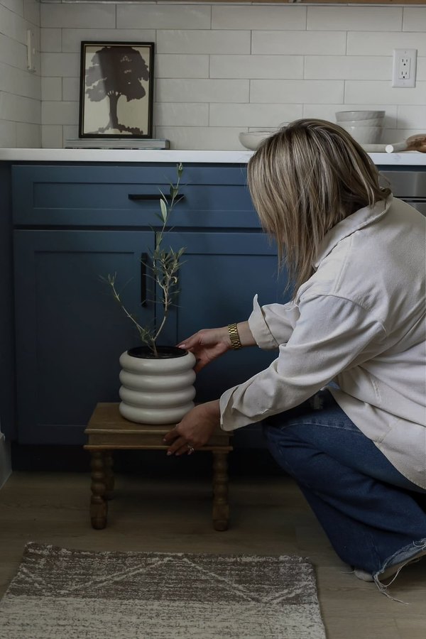 Robyn crouching to settle a small olive tree in a ribbed ceramic pot onto a wooden stool beside navy kitchen cabinets